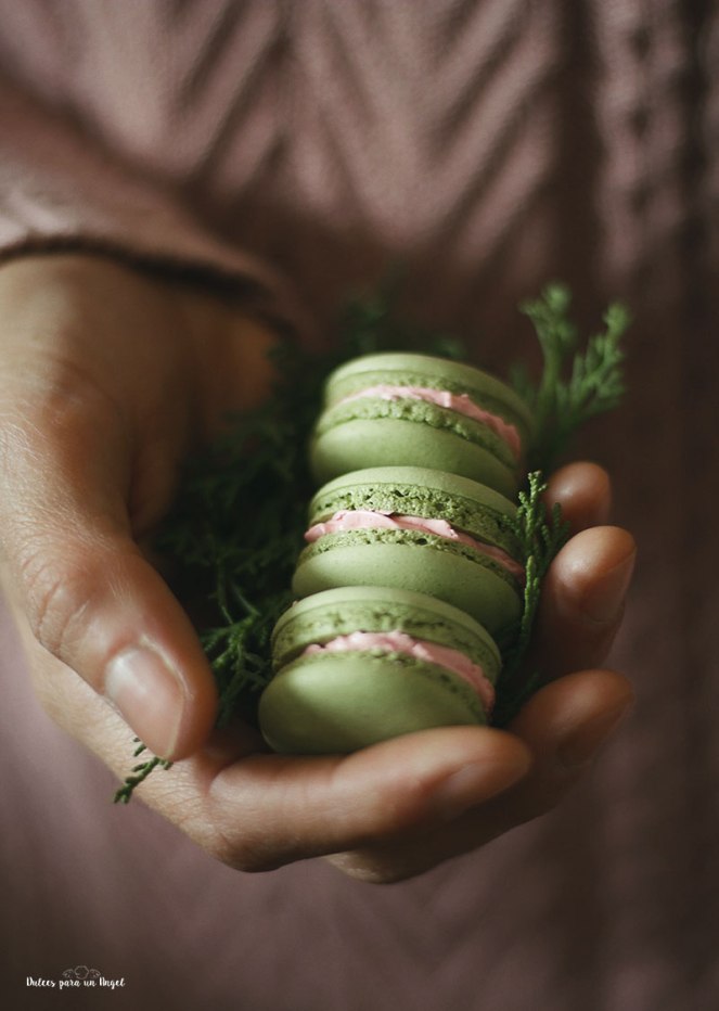 macs-pistacho-y-fresa051