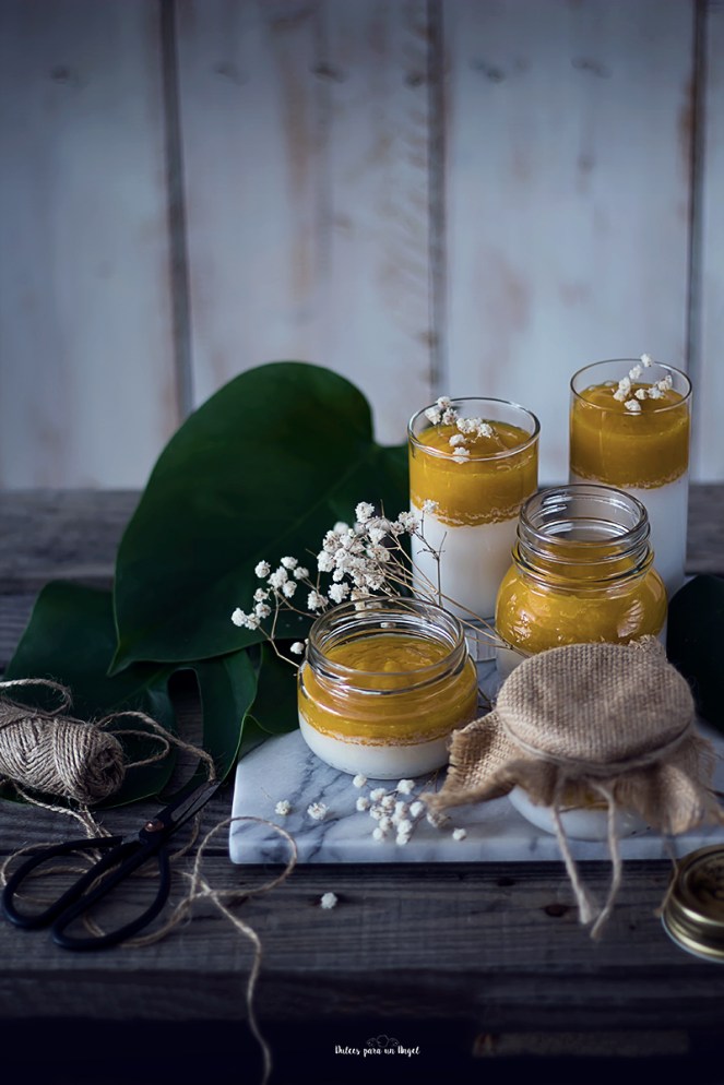 pannacotta coco y mango primera_MG_9570