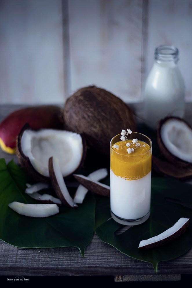 pannacotta coco y mango_MG_9583
