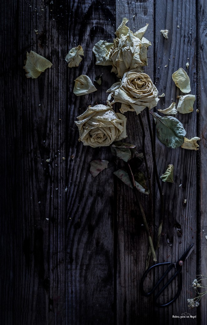 aliter dulcia 2-2_MG_0120