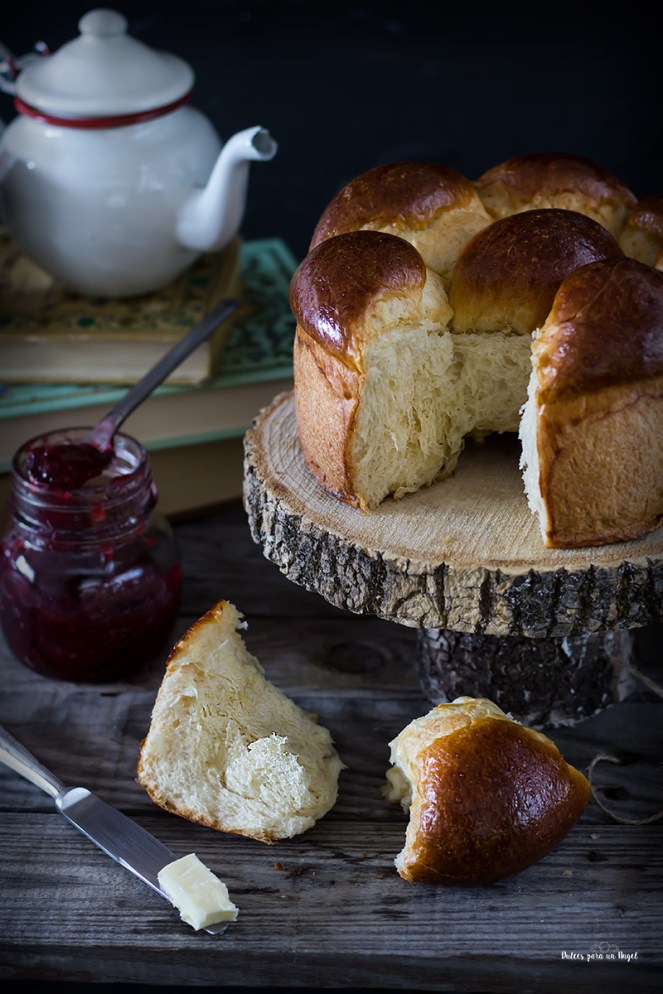 aliterdulcia_MG_0010