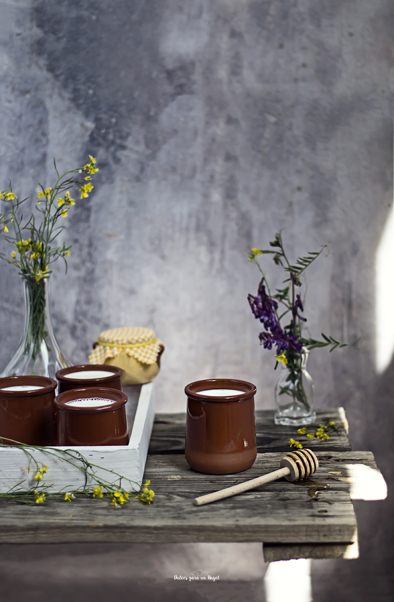 cuajada primera_MG_1515