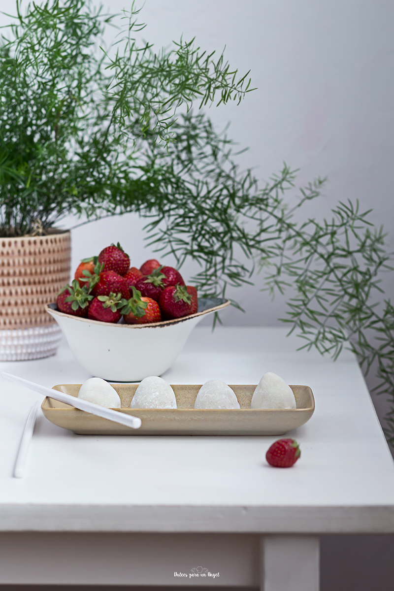 mochis primera_MG_1899