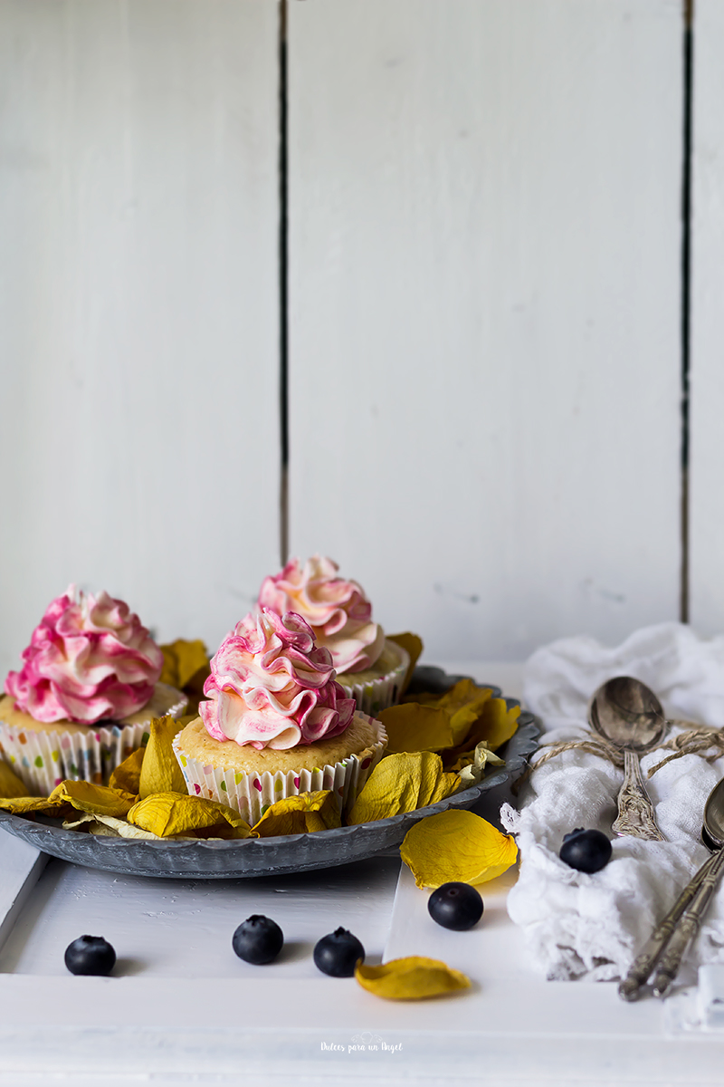 cupcakes arandanos y limon primera_MG_1994