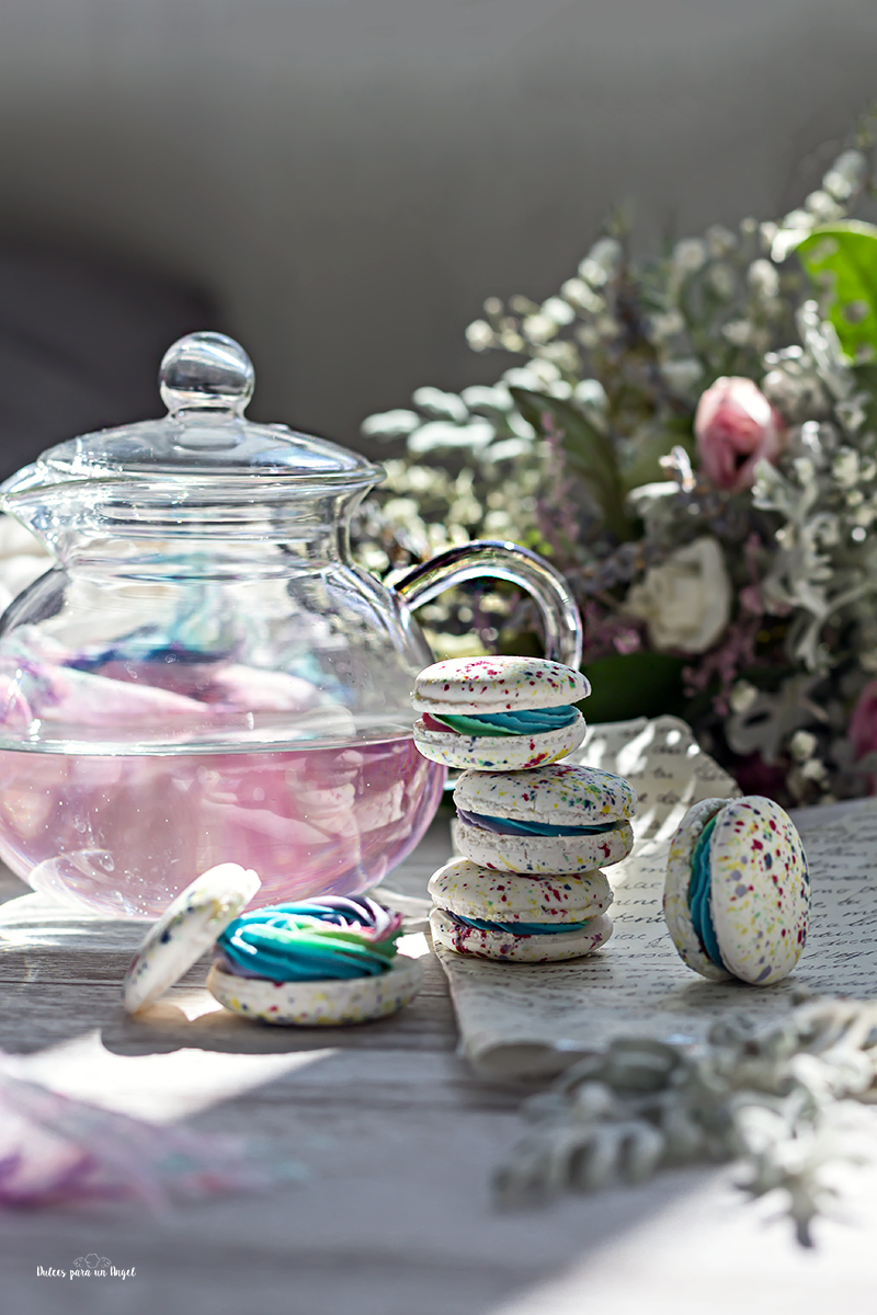 macarons arcoiris_MG_2164