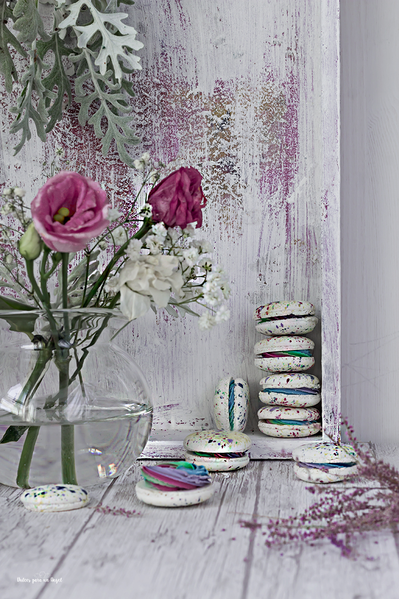 macarons arcoiris_MG_2191