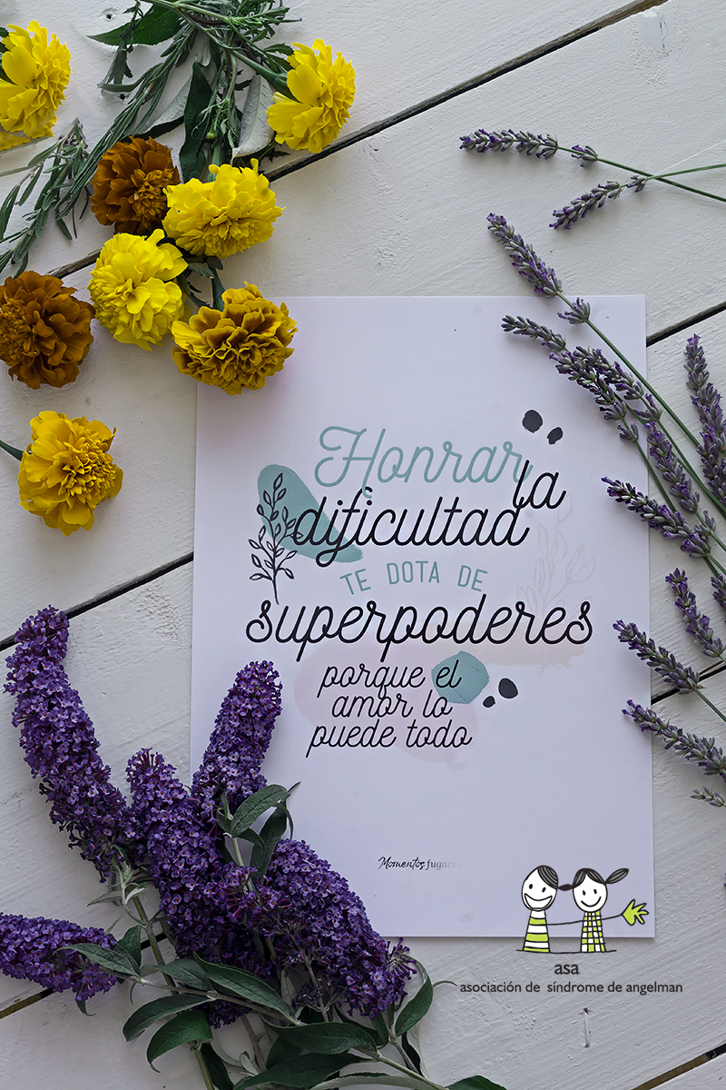 momentos fugaces asa_colorMG_2056