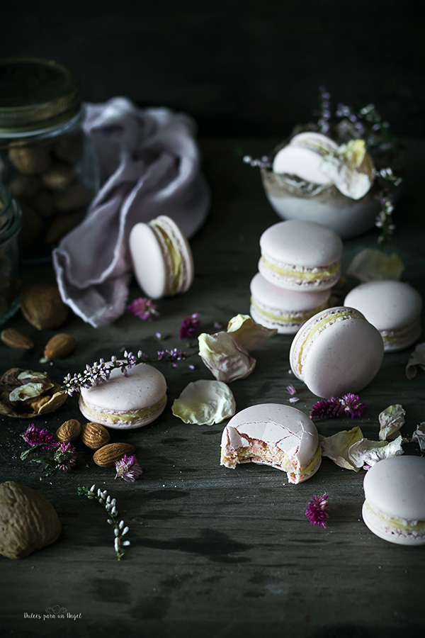 macarons nuez_MG_3100