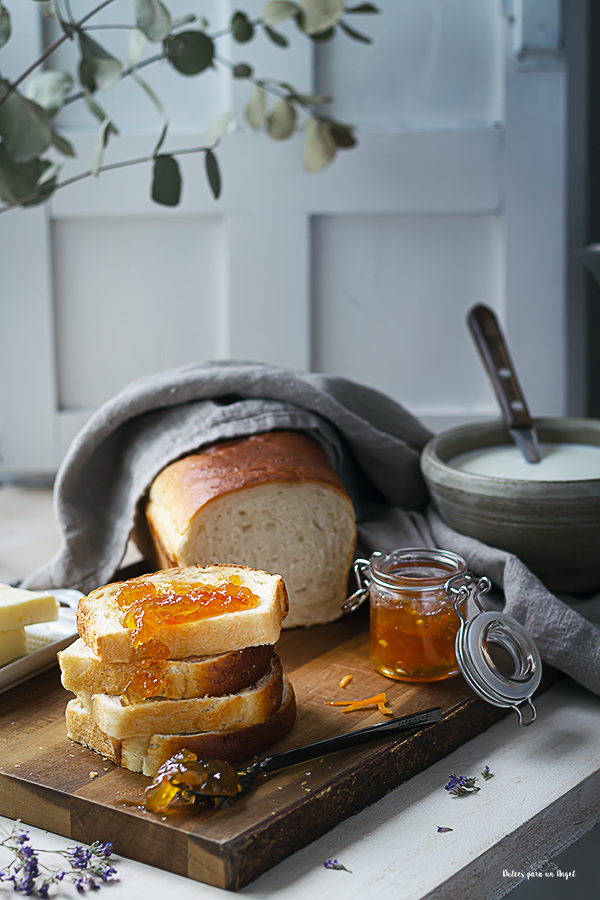 molde multiusos_MG_4166