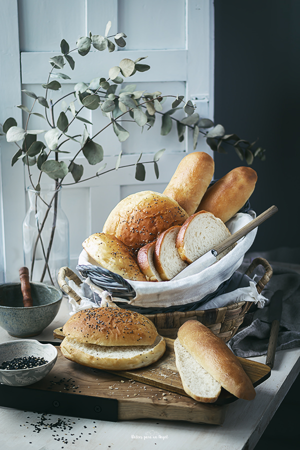 primera multiusos_MG_4188-Recuperado